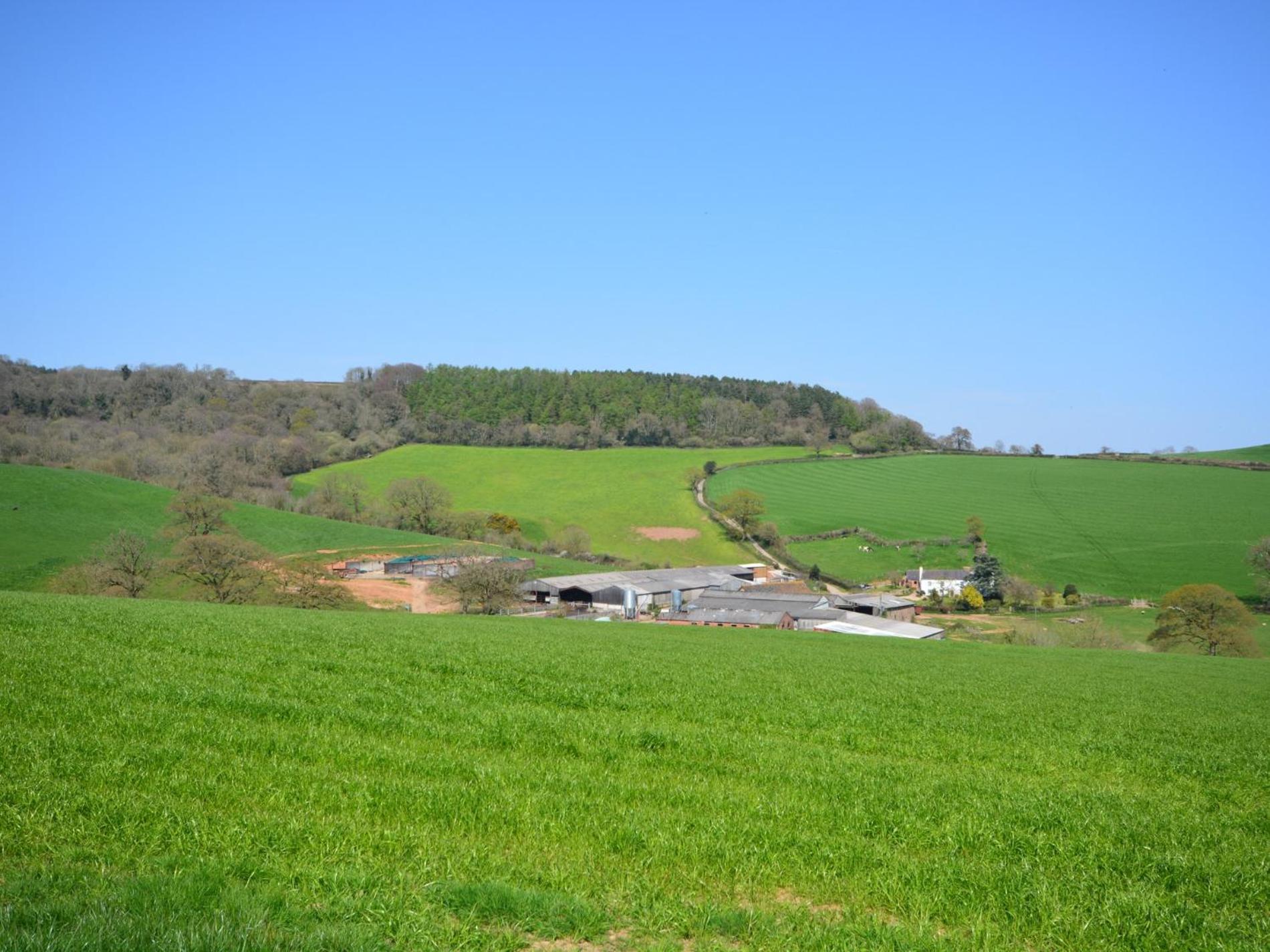2 Bed in Sidmouth oc-bursc view 4
