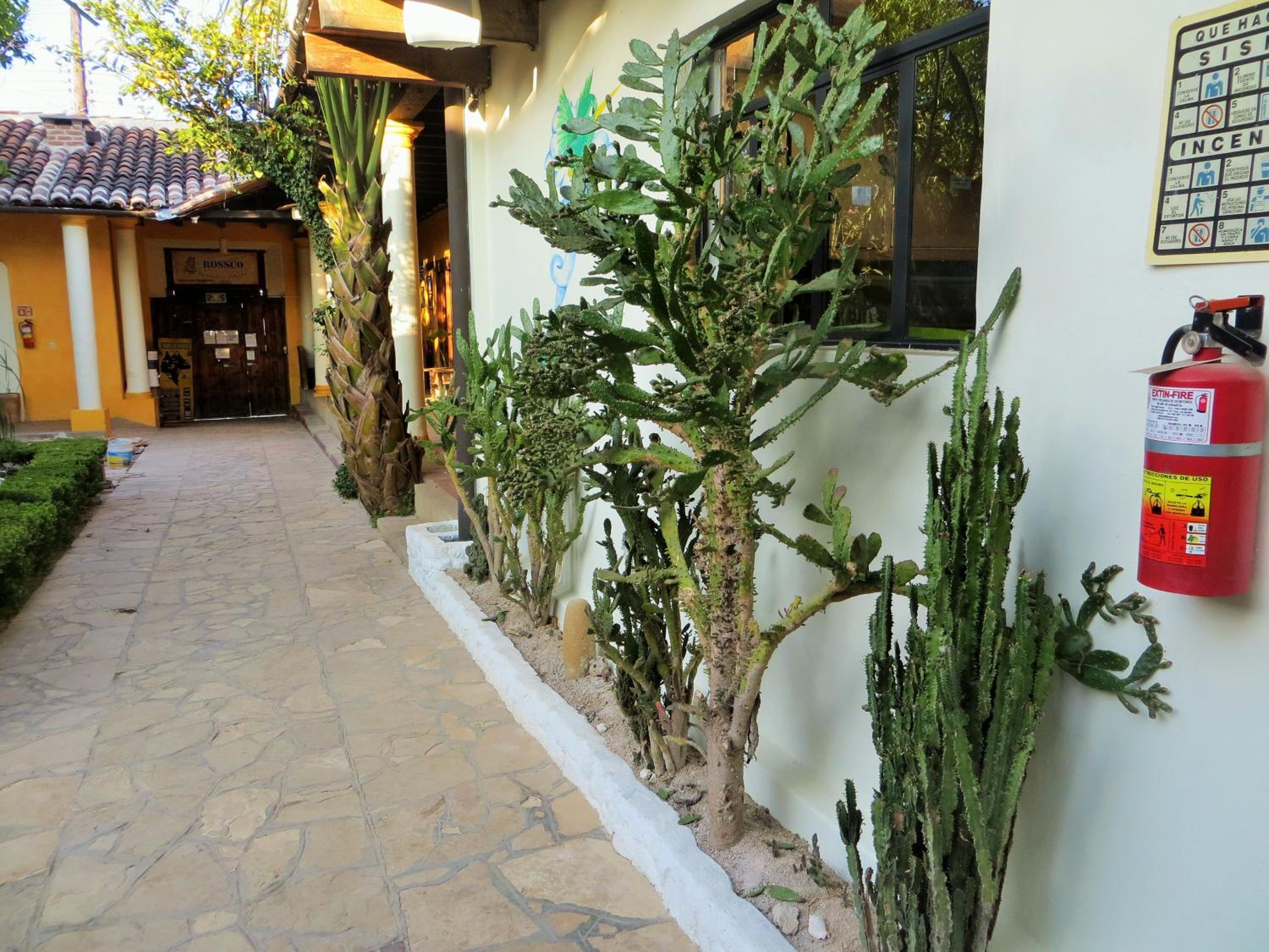 Rossco Hostel & Hotel