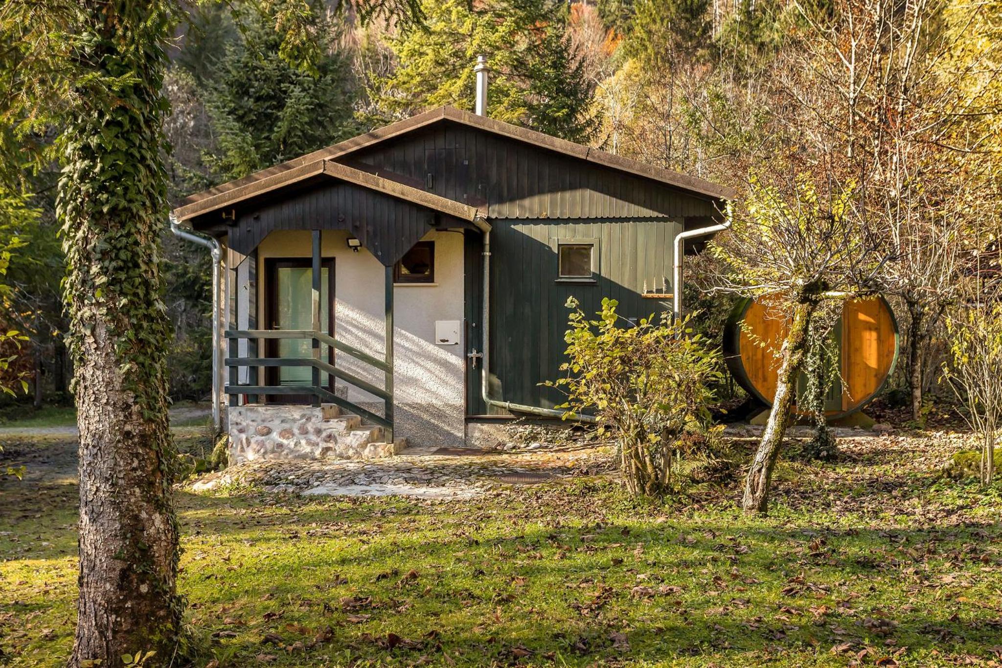 Hotel Cabin by the river Polhov Gradec - Image 1