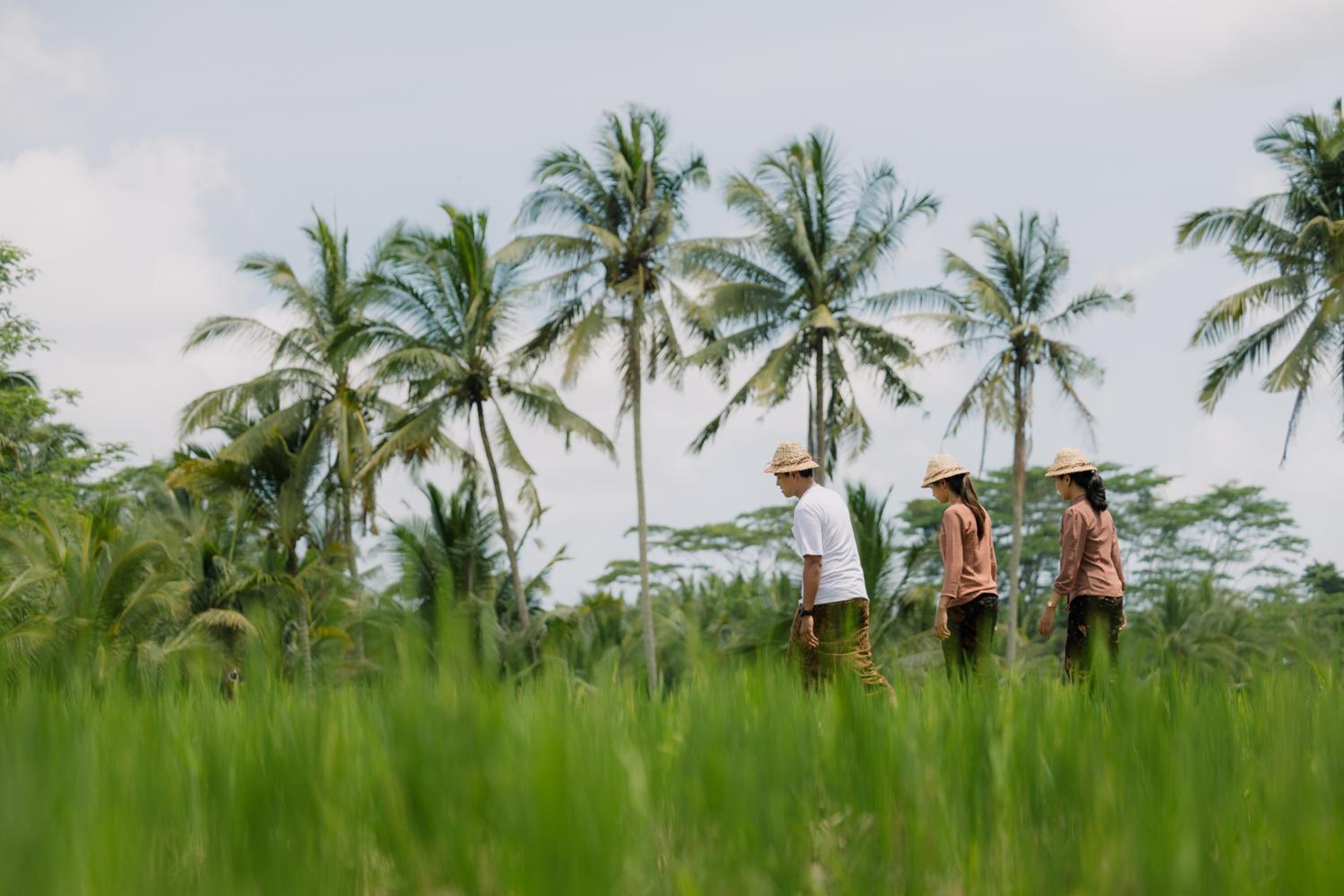Metland Venya Ubud