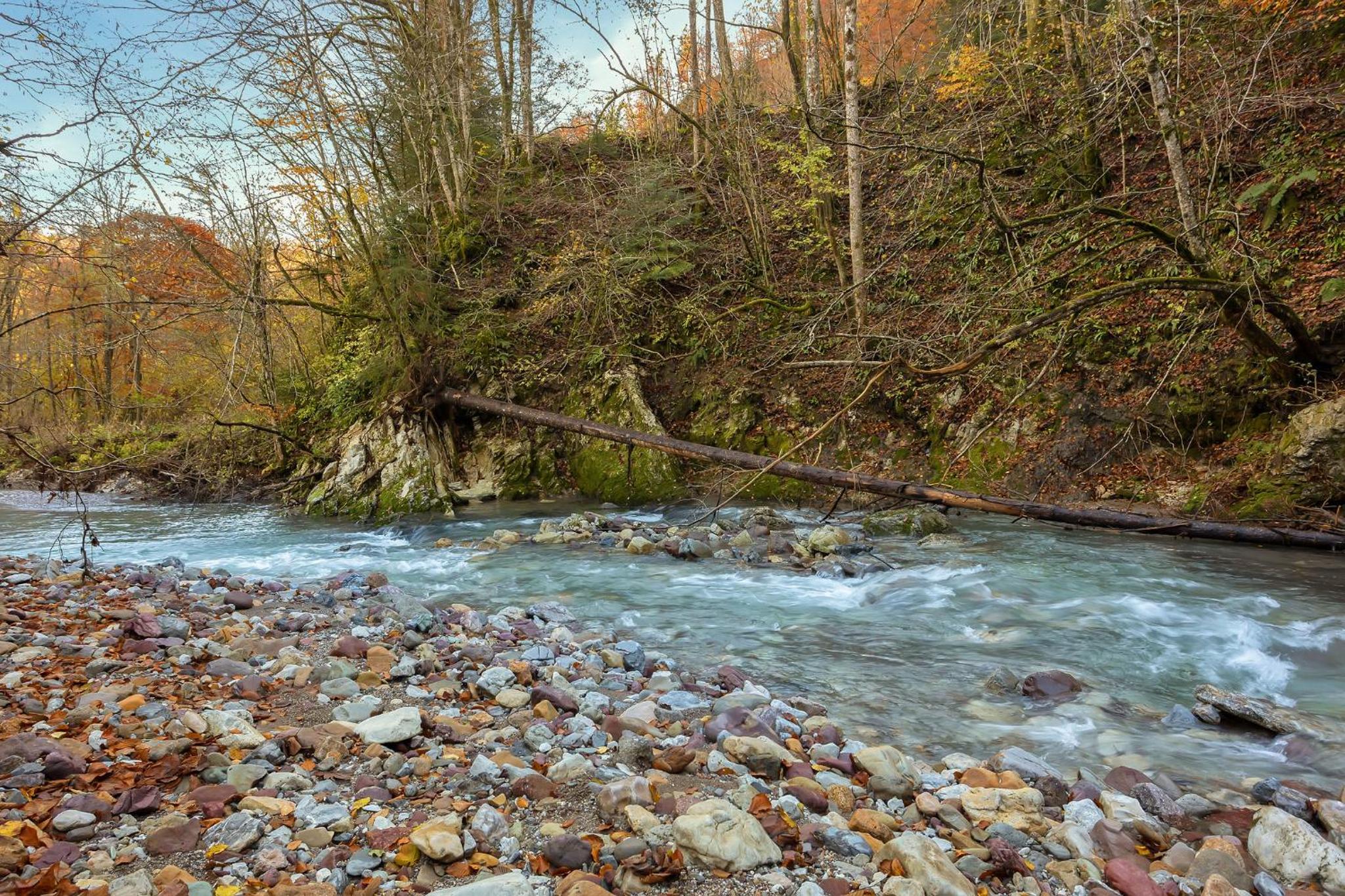 Cabin by the river Polhov Gradec
