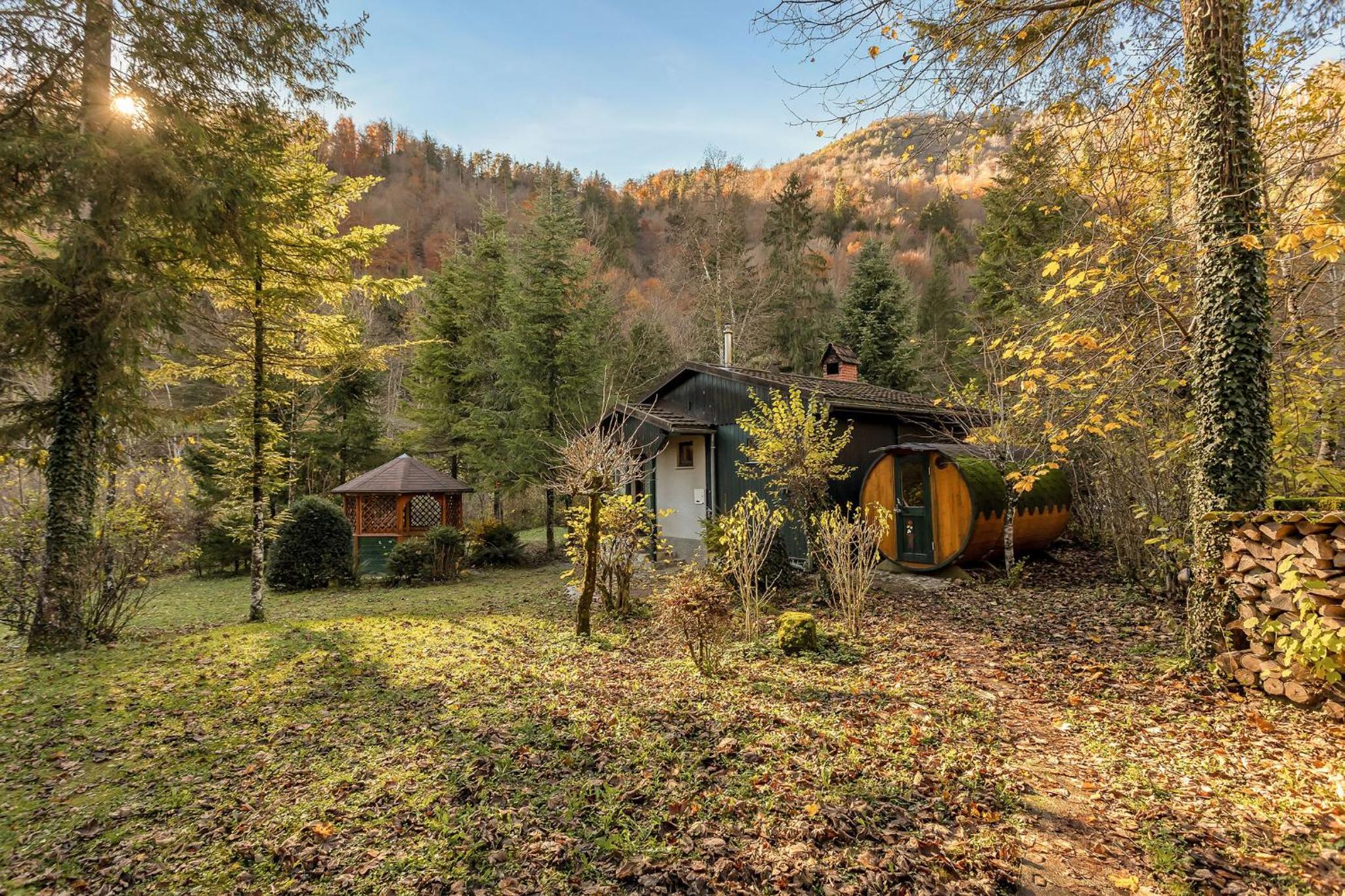 Cabin by the river Polhov Gradec