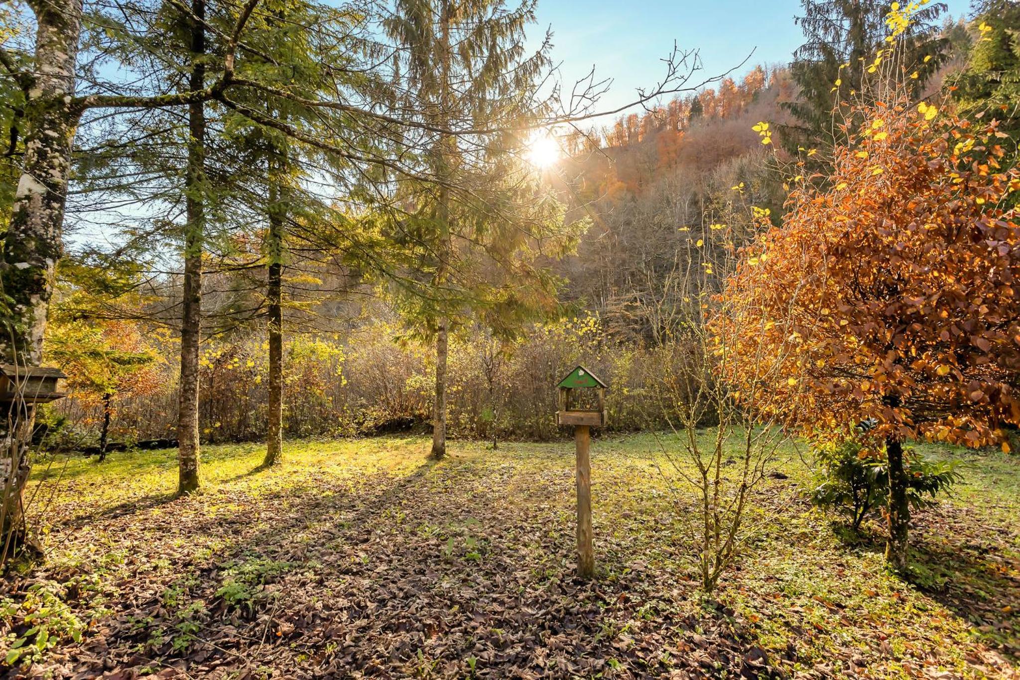 Cabin by the river Polhov Gradec