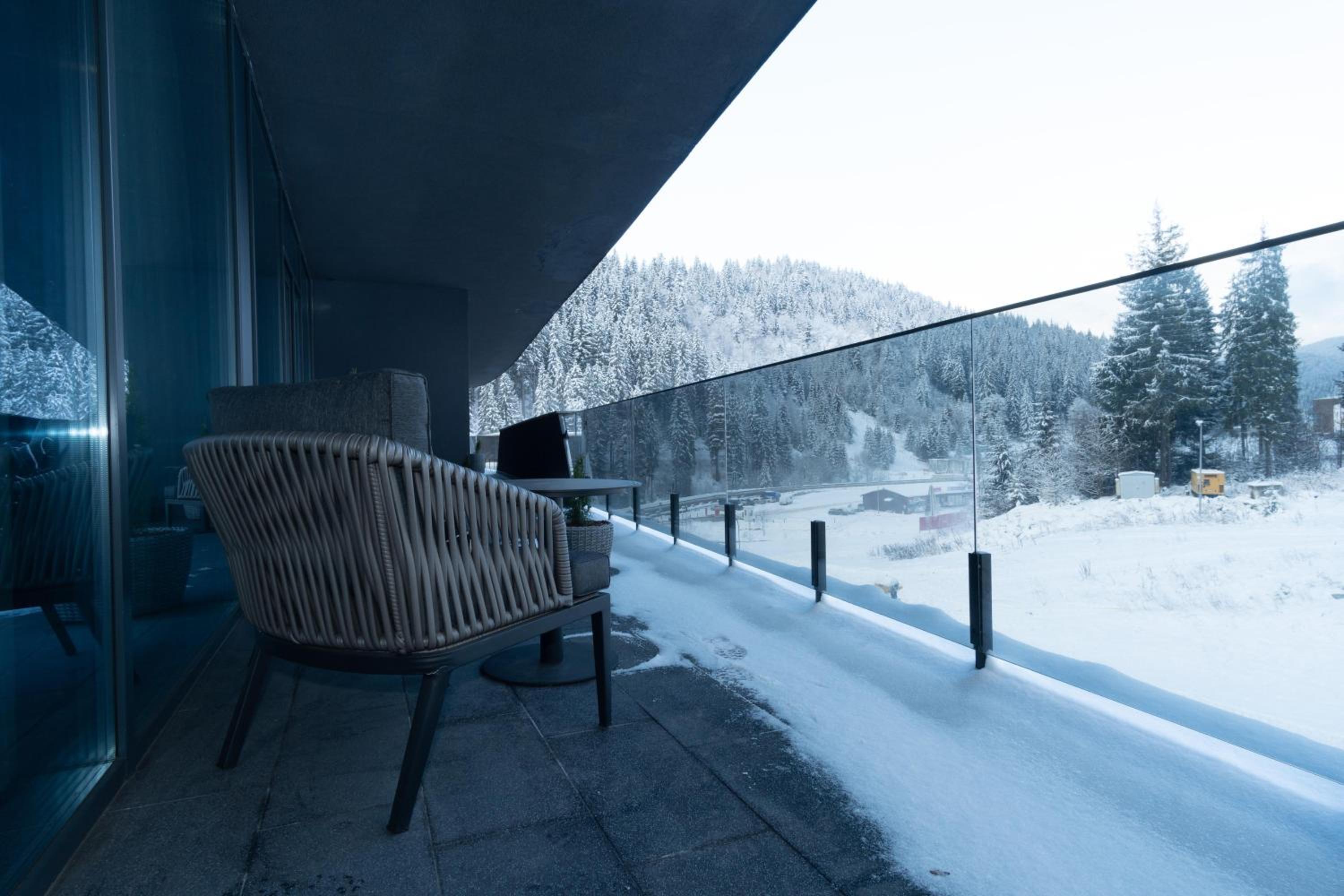 SAVOIE Apartments Bukovel view 3