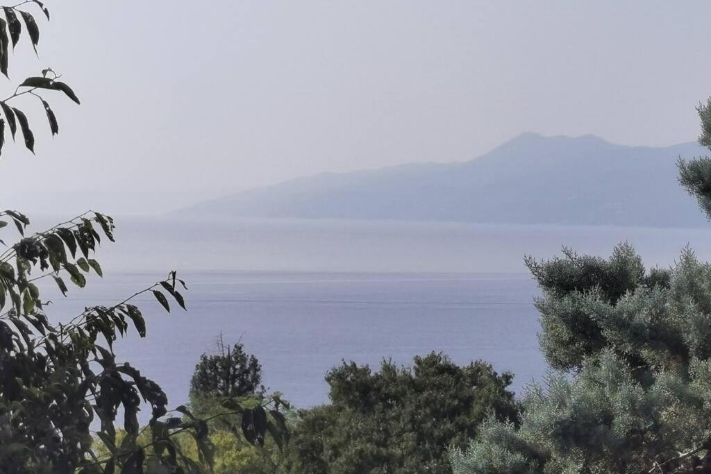 Apartman Liburna