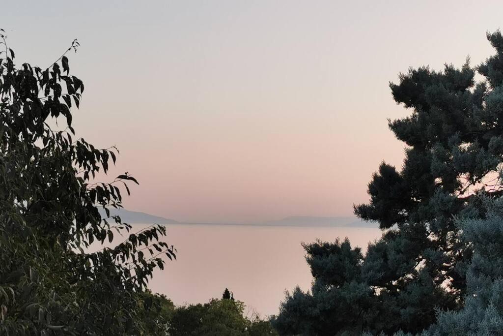 Apartman Liburna