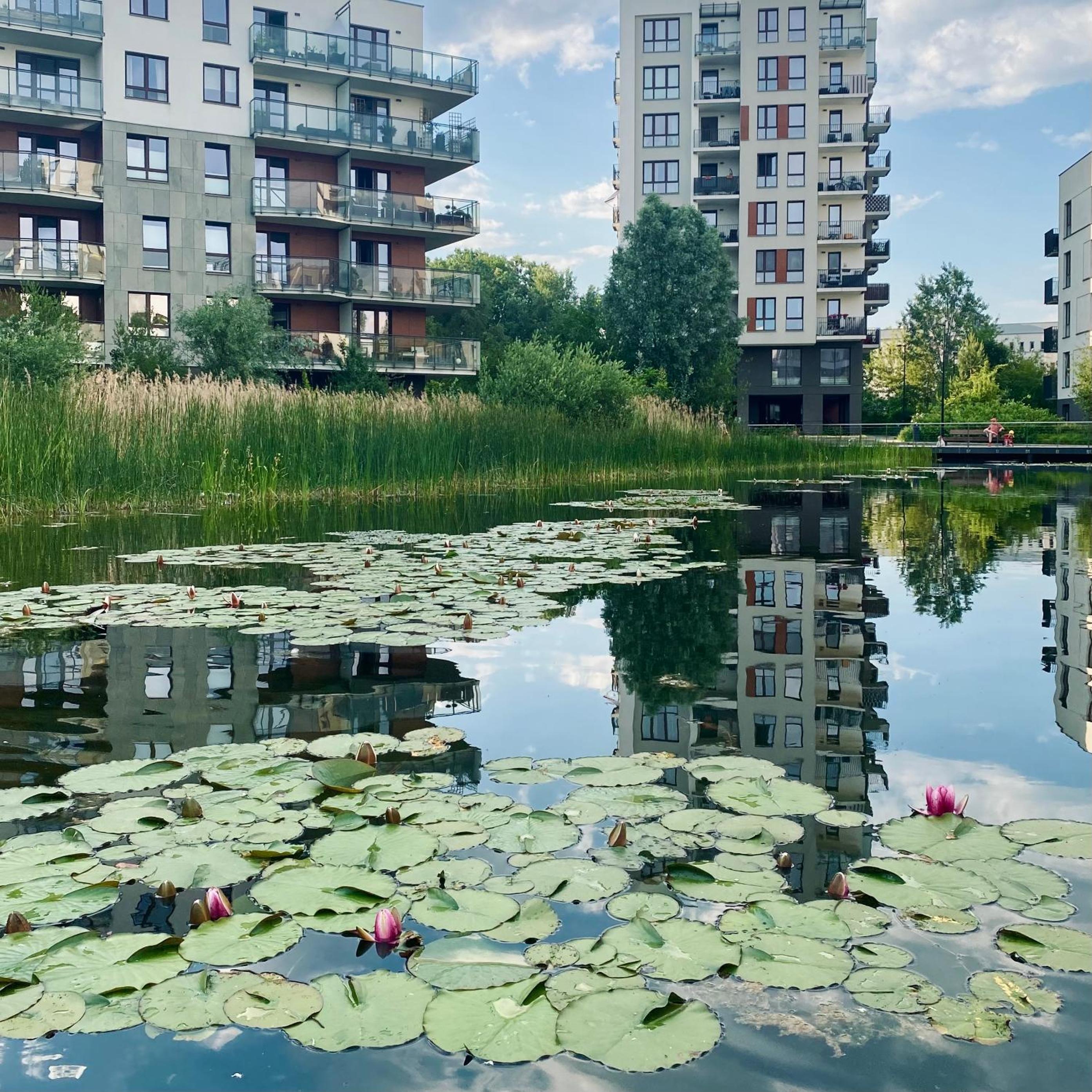 Tuyo Apartments Lake park view 2