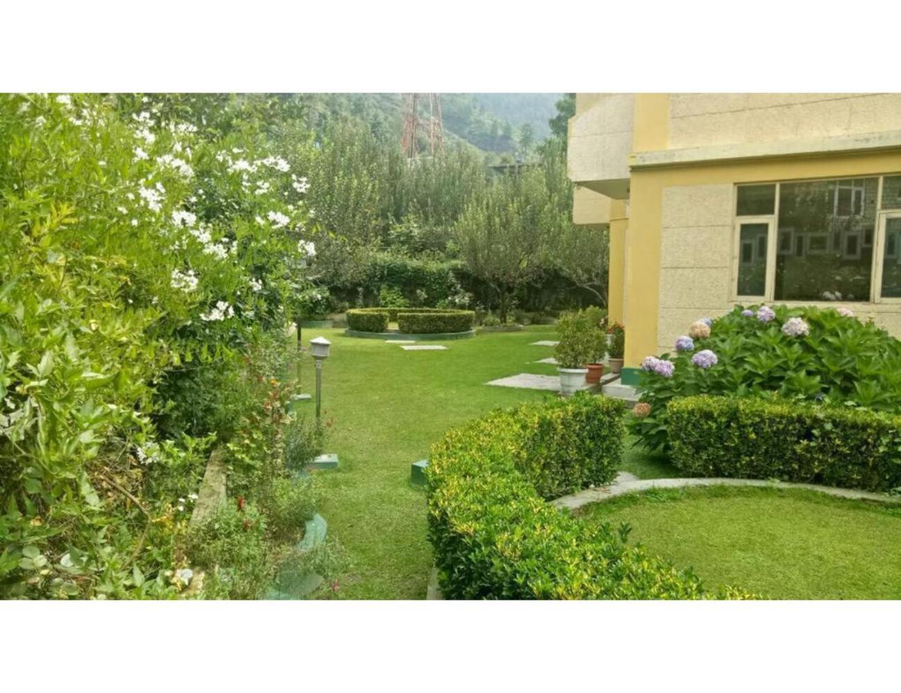 Photo 10