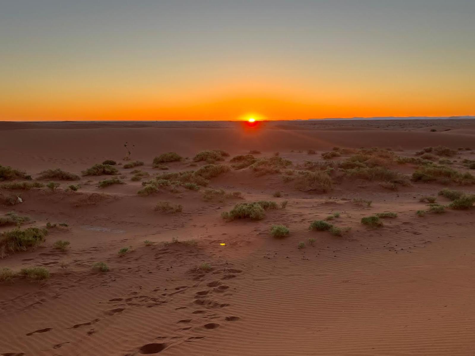 Sahara Camp Light view 5