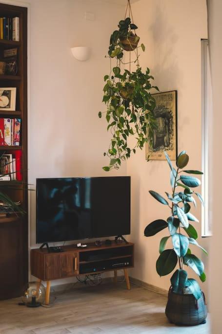 Vaticano/Trastevere Floreal Suite