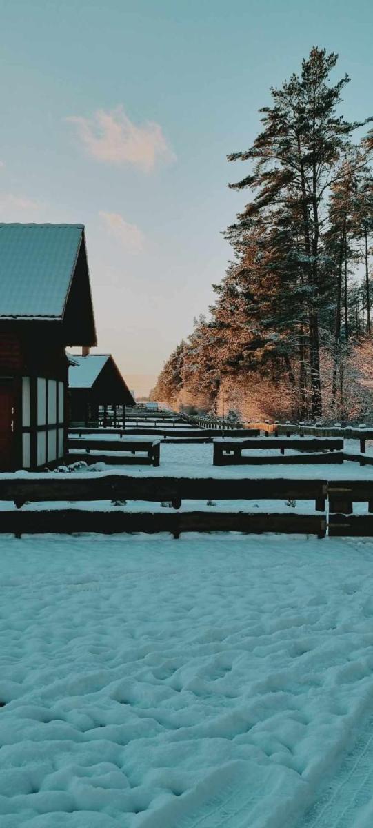 Photo 39