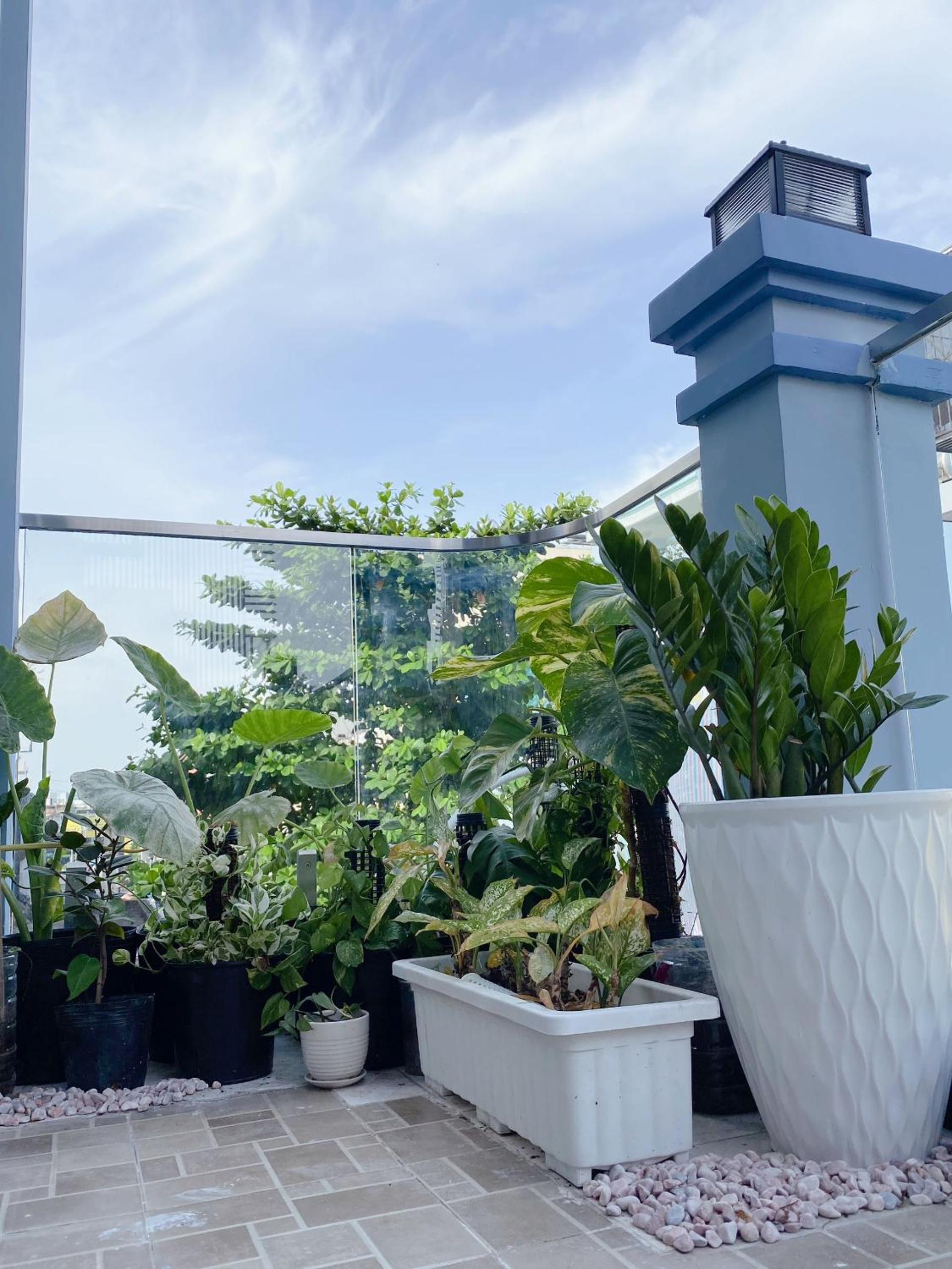 SAIGONESE Studio
