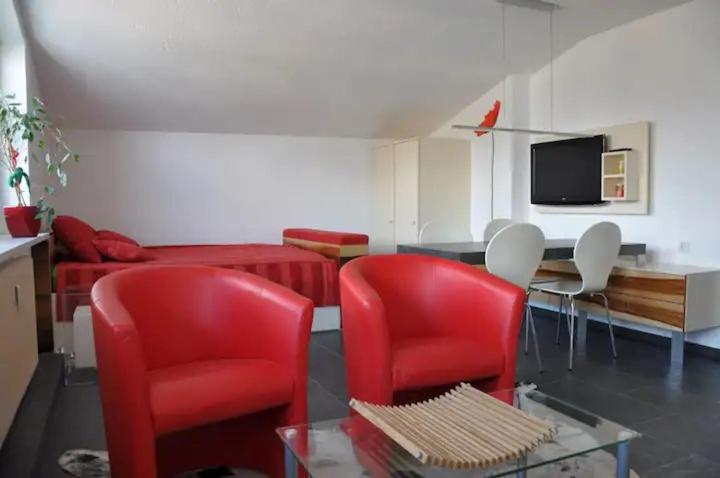 Lake view appartment in Zell-am-See city centre