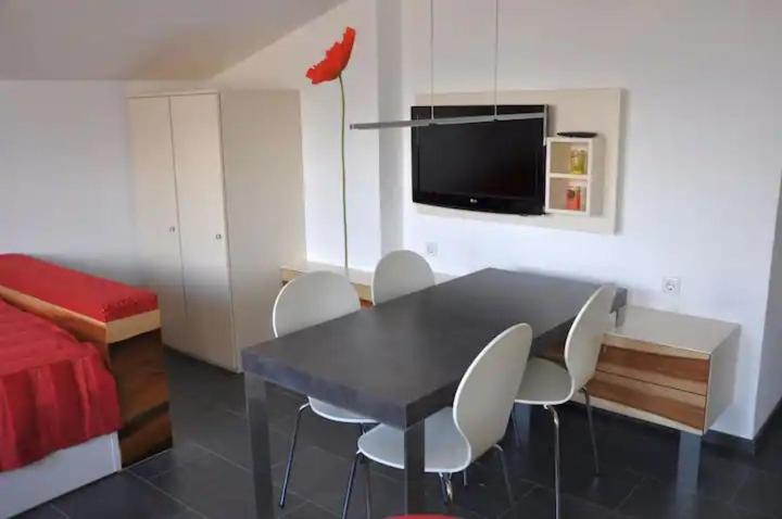 Lake view appartment in Zell-am-See city centre