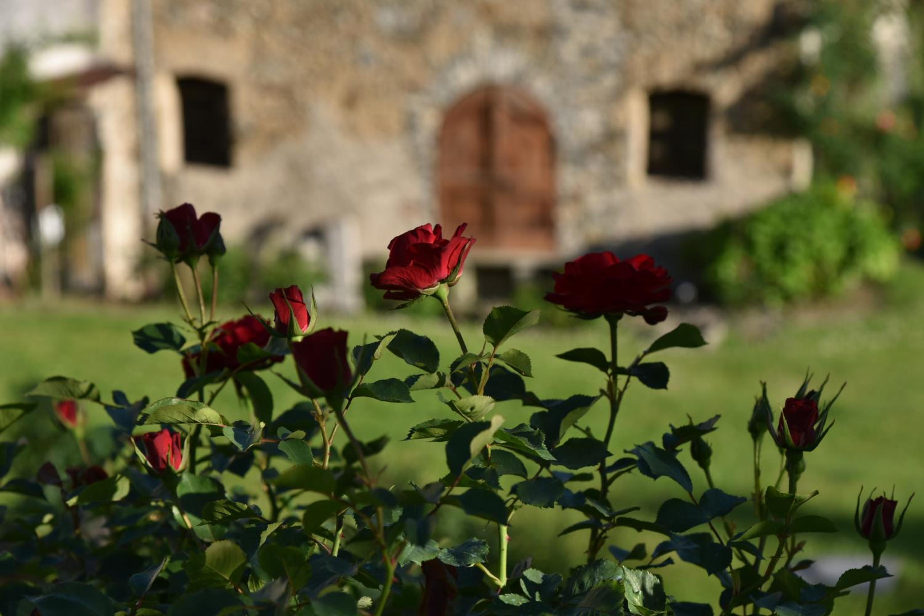 Piano nobile al Roseto del Drago