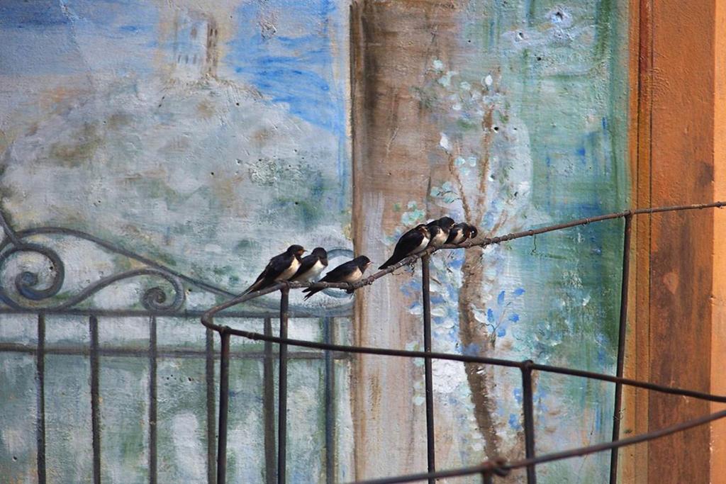 Piano nobile al Roseto del Drago