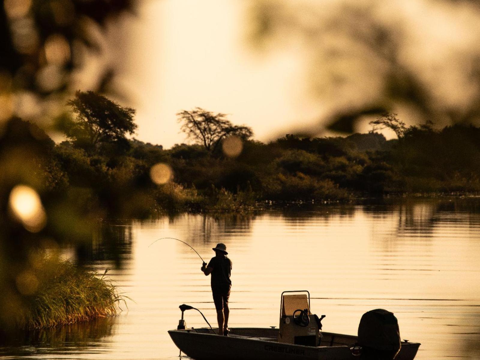 Zambezi King Fisher Lodge