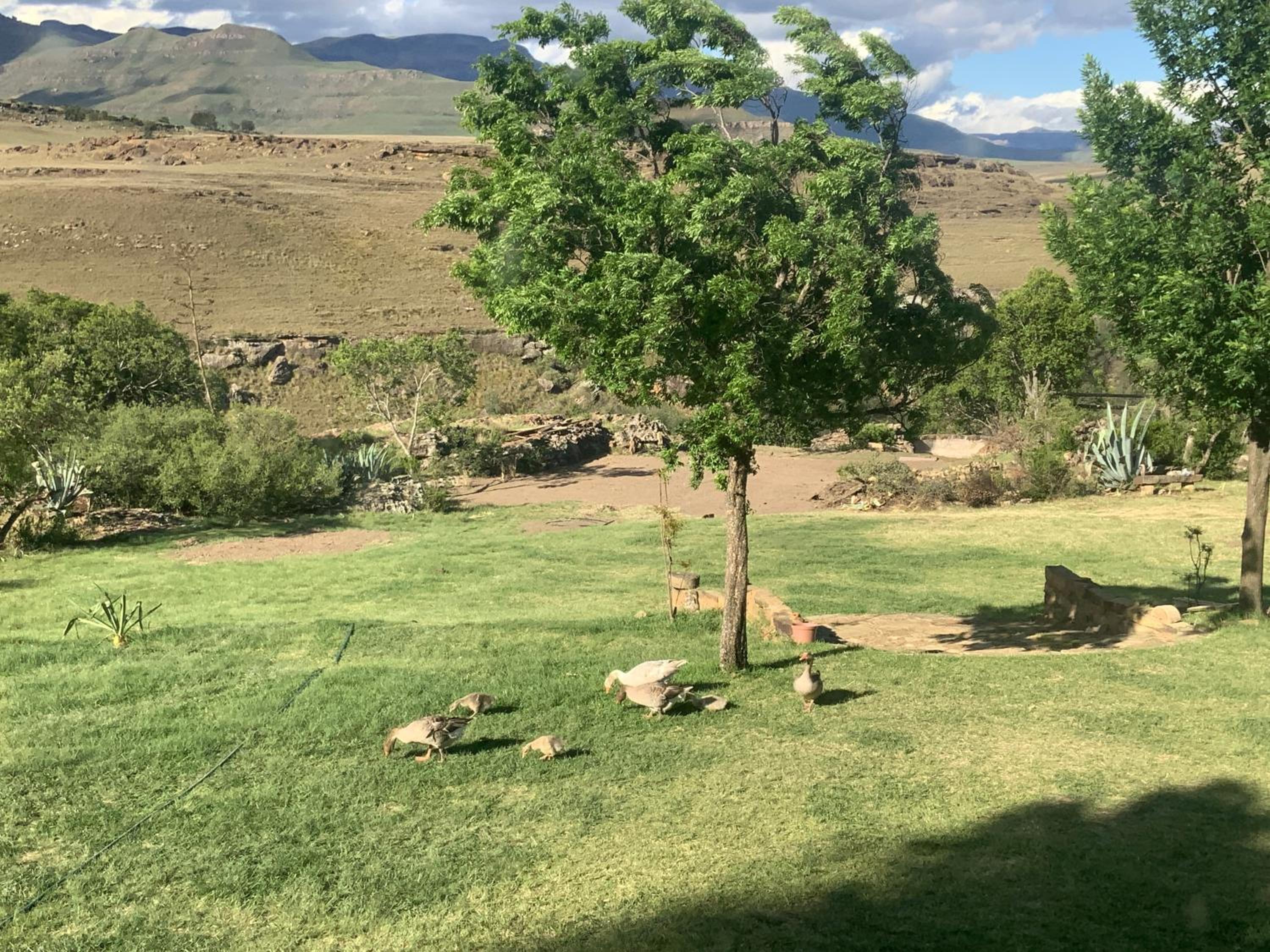 Stormberg River Lodge
