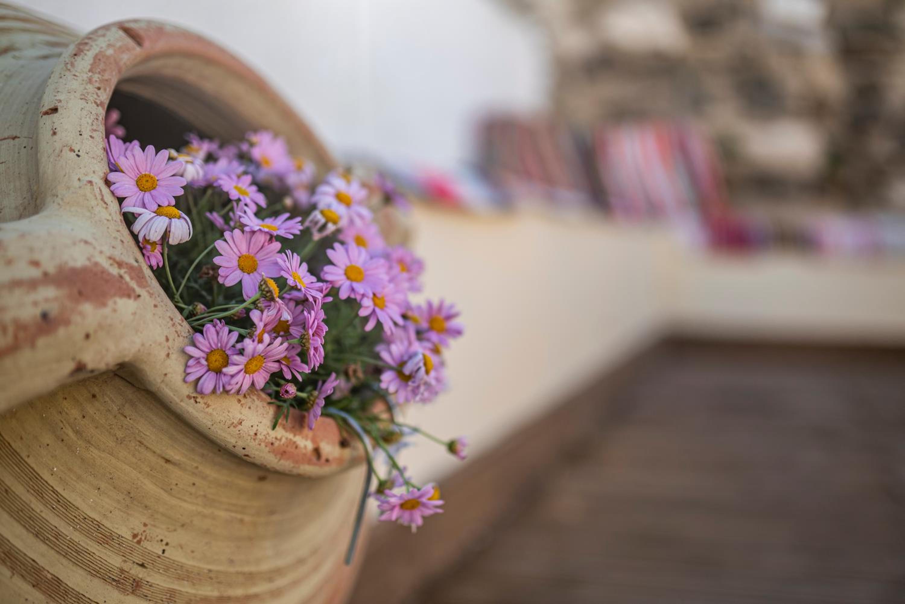nuova casa tranquilla