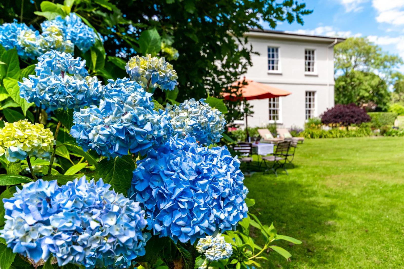 Luxury country mansion in West Cork view 4