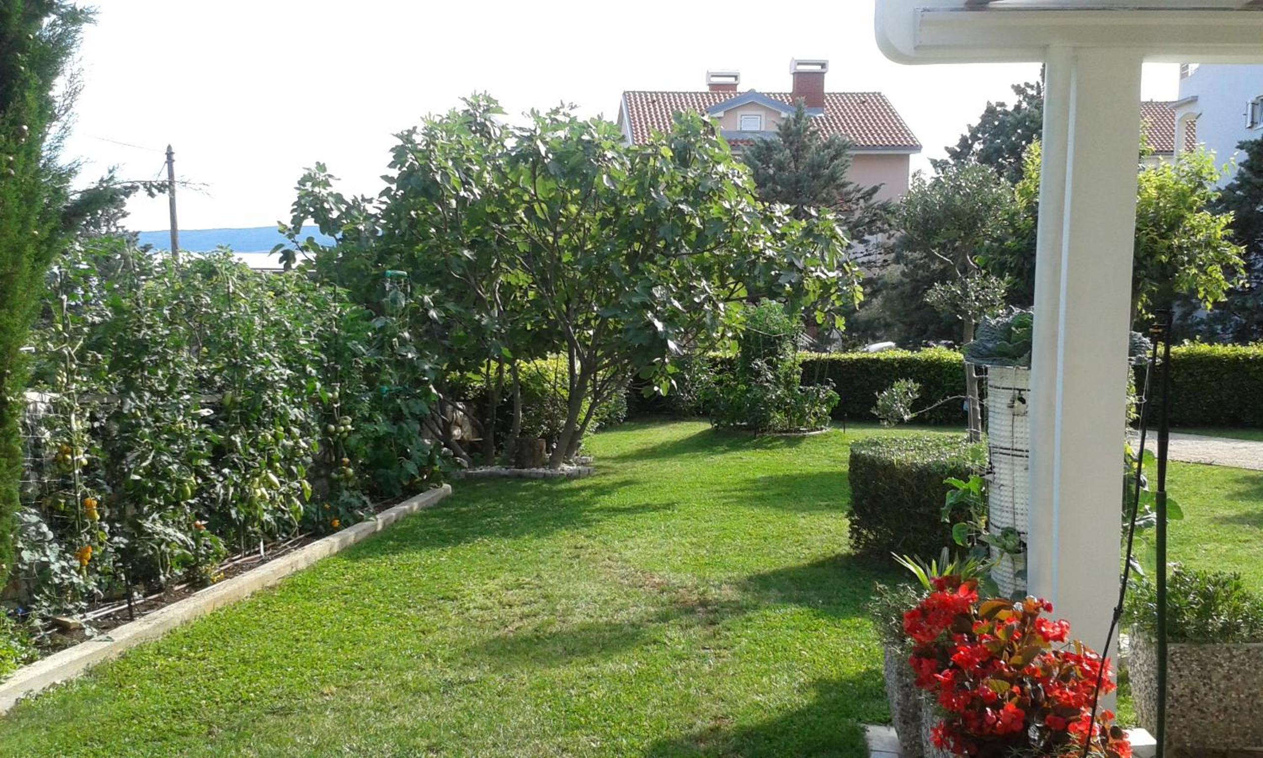Photo 44