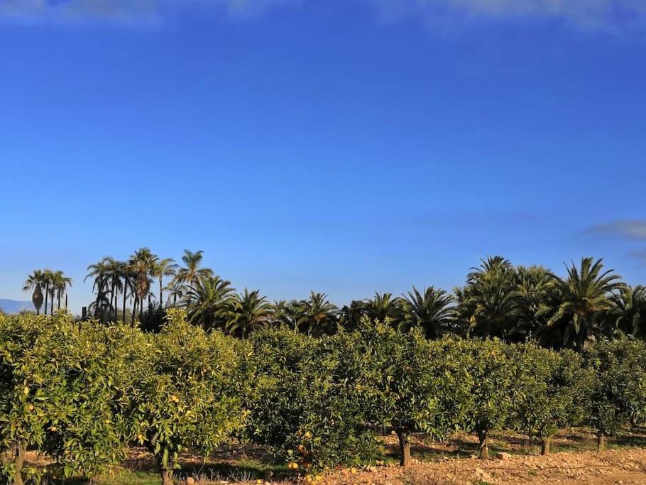GOLF PANORAMICA VINAROS SANT JORDI ESPAGNE