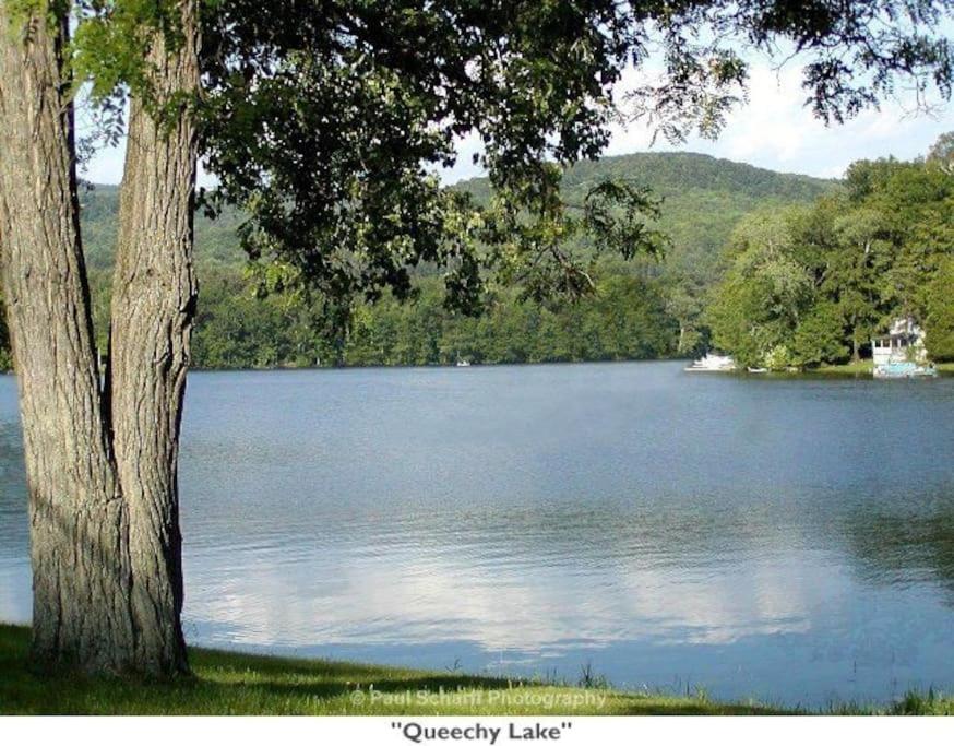 Photo 46
