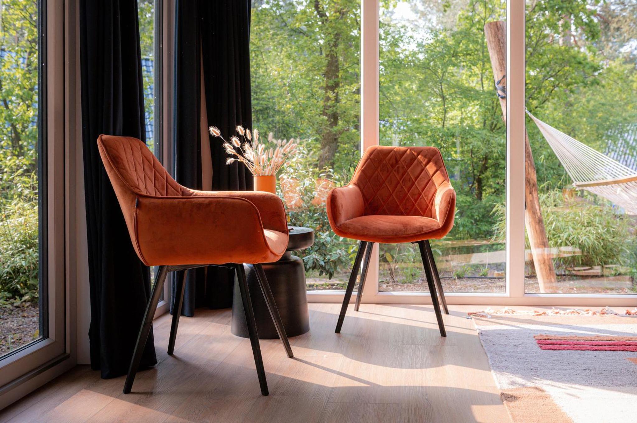 Lodge Goudvink Nunspeet Veluwe view 3