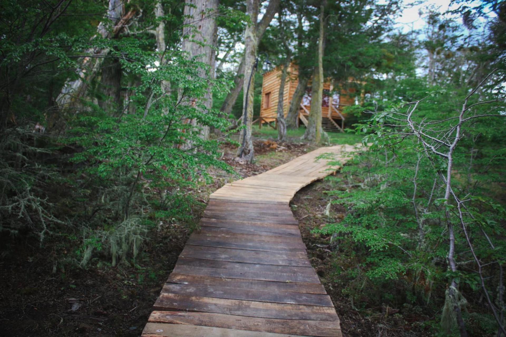 CABAÑAS LOS ARÁNDANOS