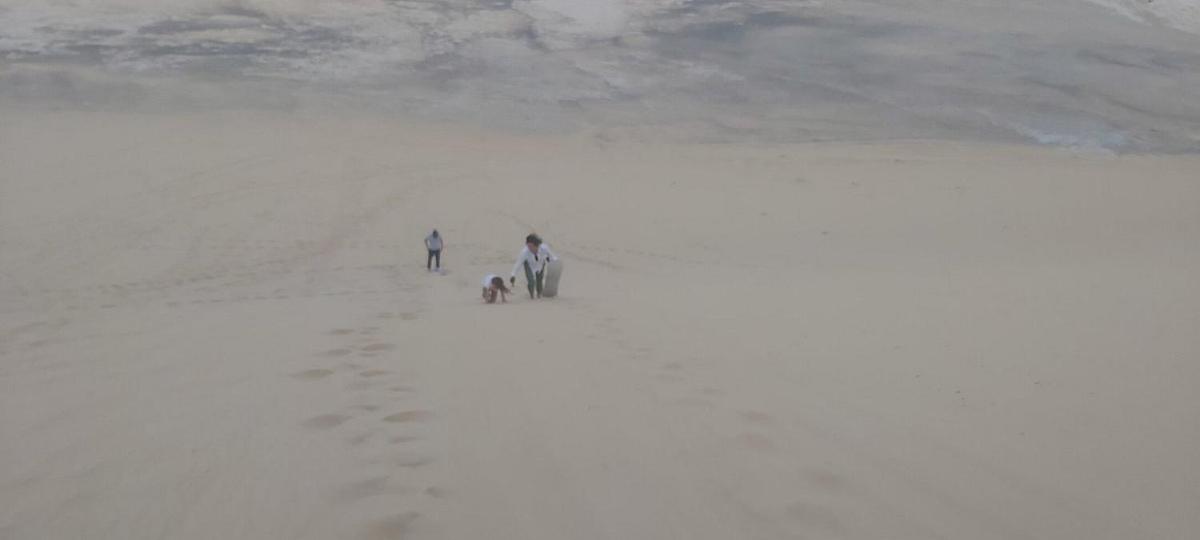 safari desert