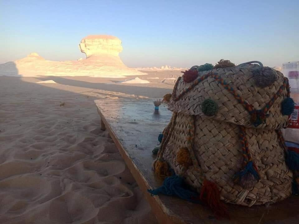 safari desert