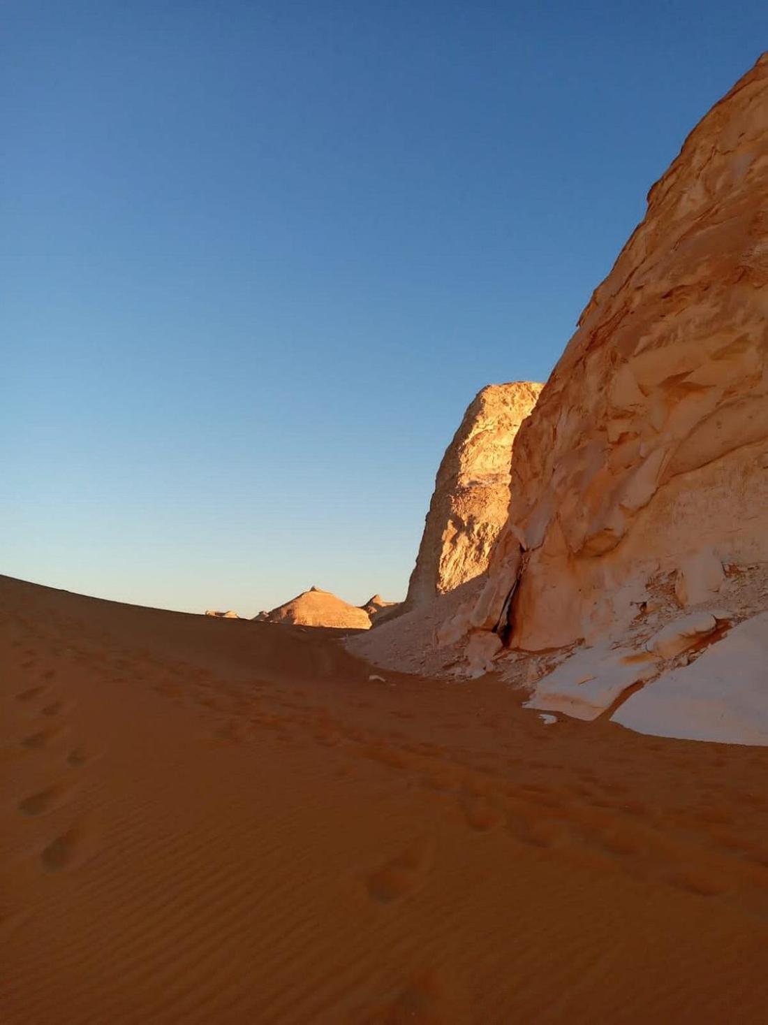 safari desert