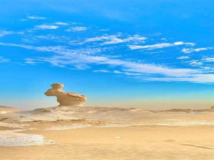 safari desert