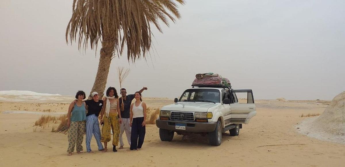 safari desert