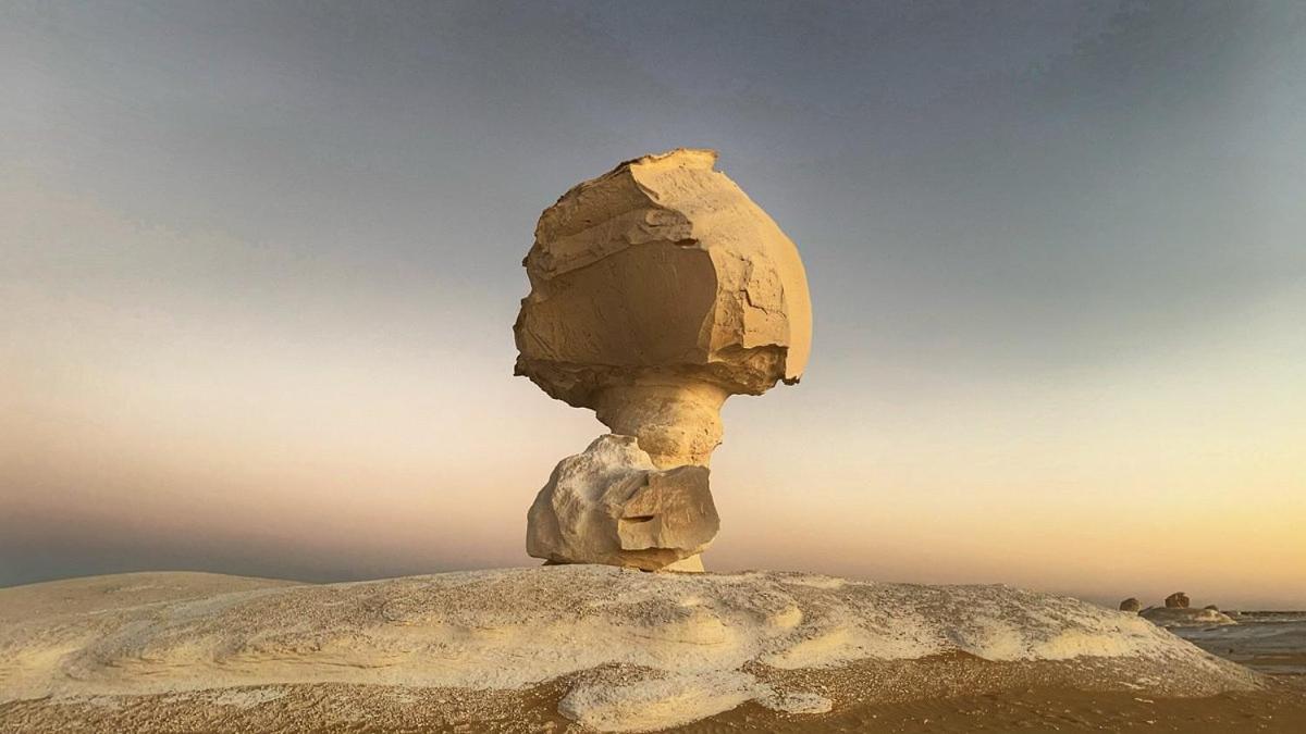 safari desert