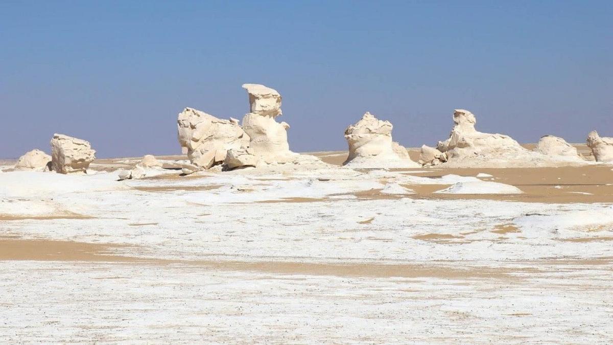 safari desert