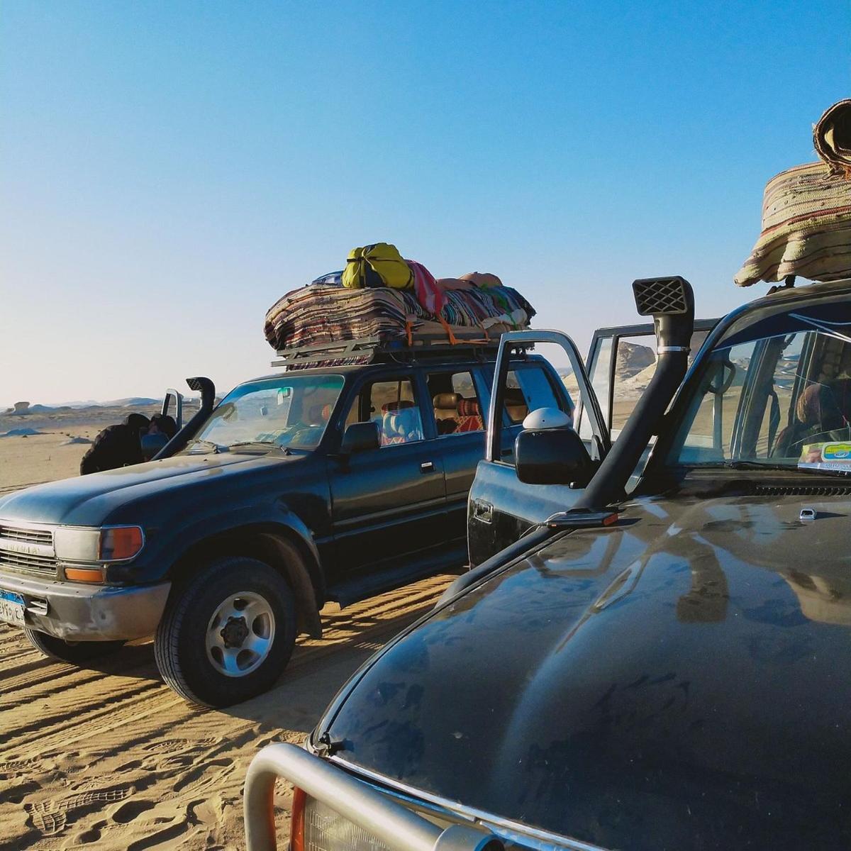 safari desert
