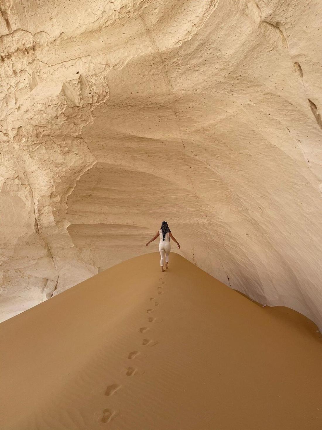 safari desert