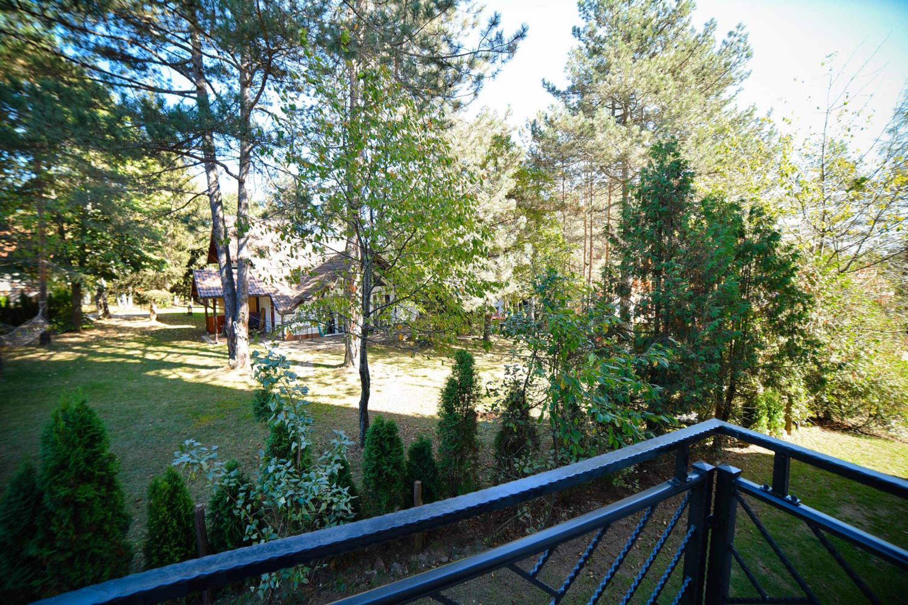 Photo 11