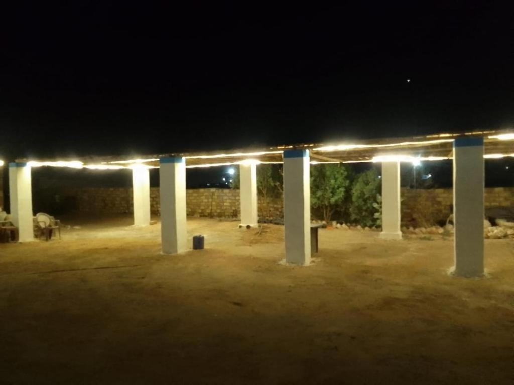 safari desert