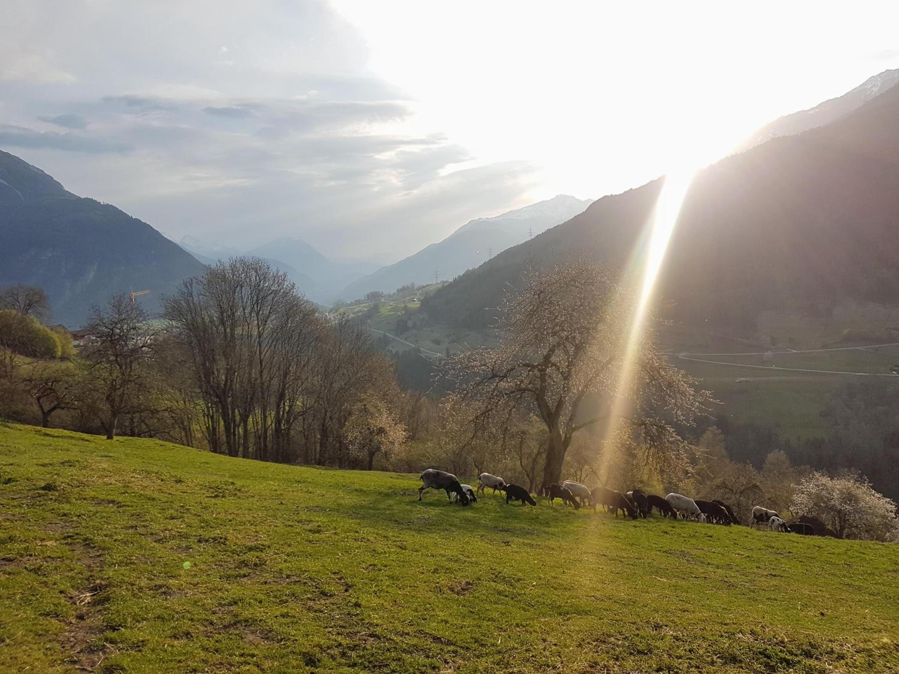 Landhaus Alpenzeit