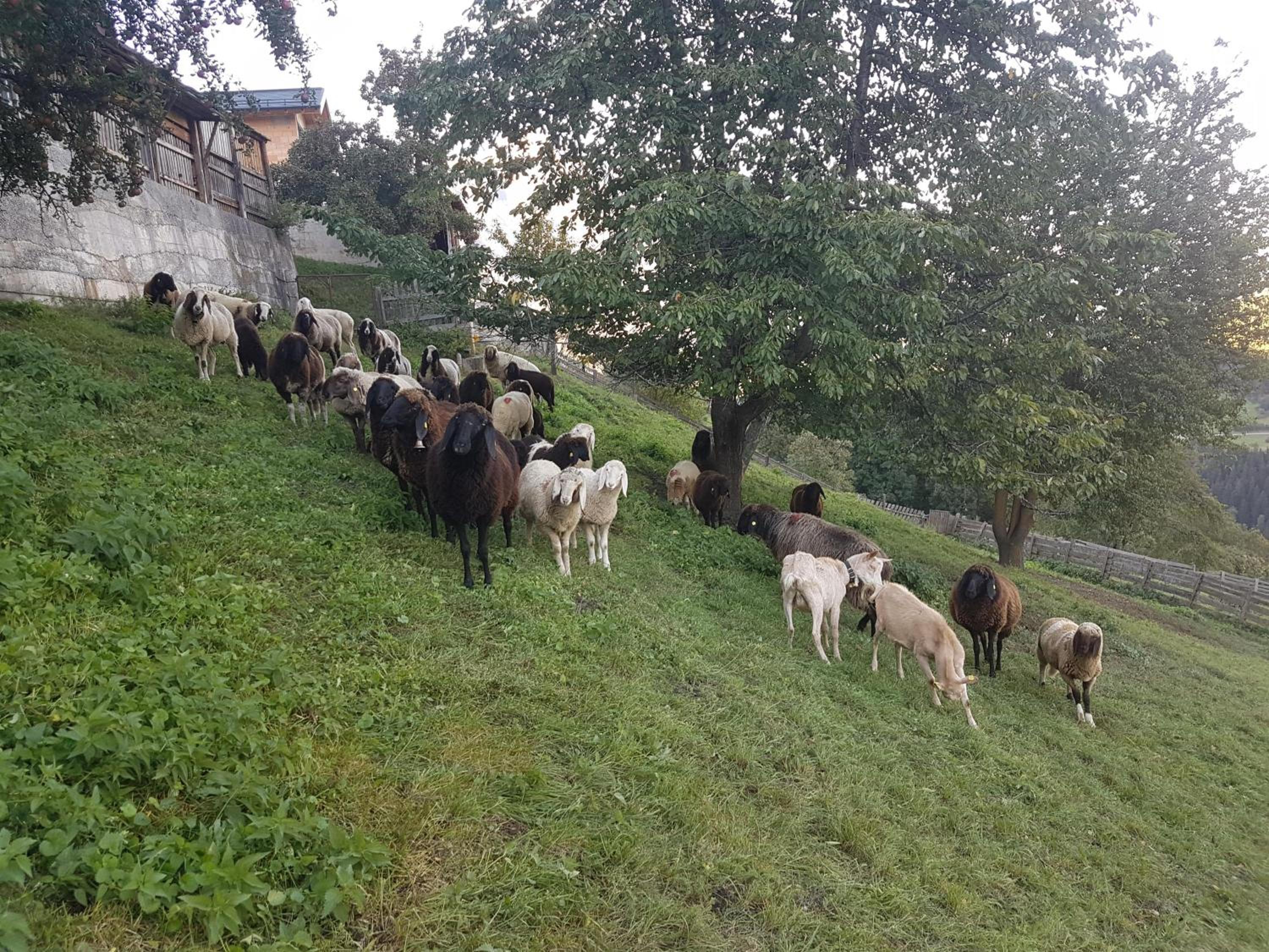 Landhaus Alpenzeit