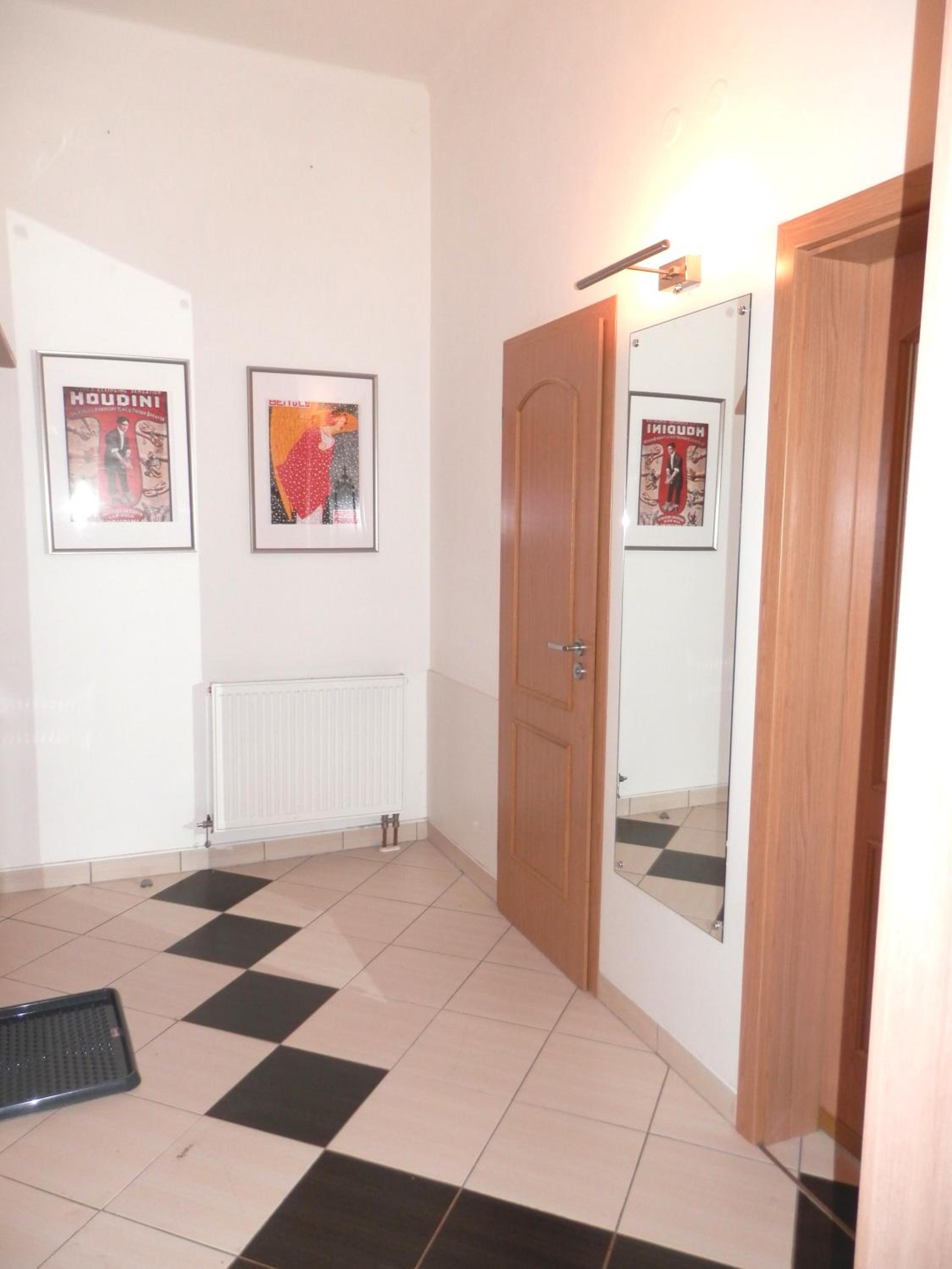 Spacious Apartment Below Spilberk Castle