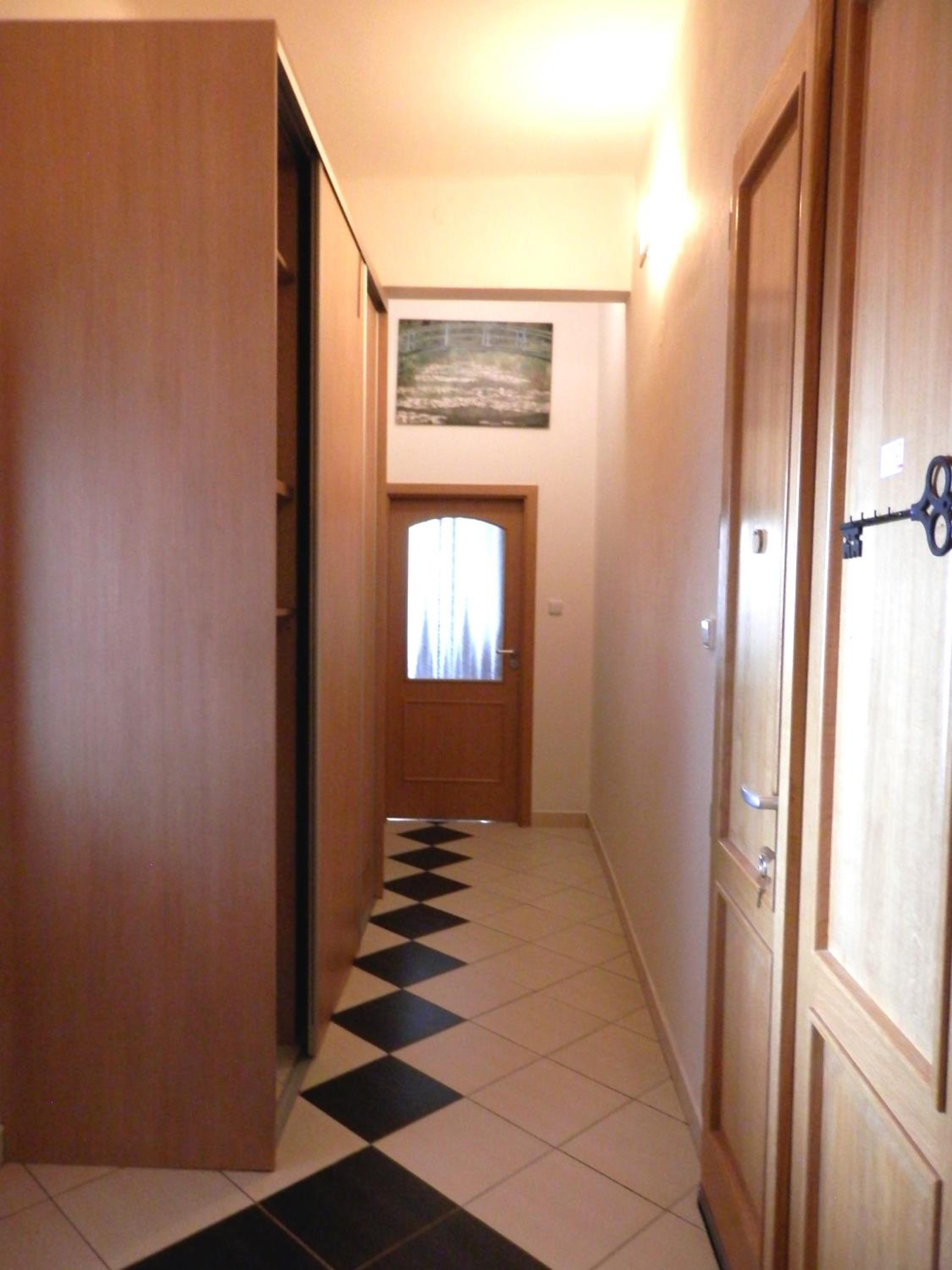 Spacious Apartment Below Spilberk Castle