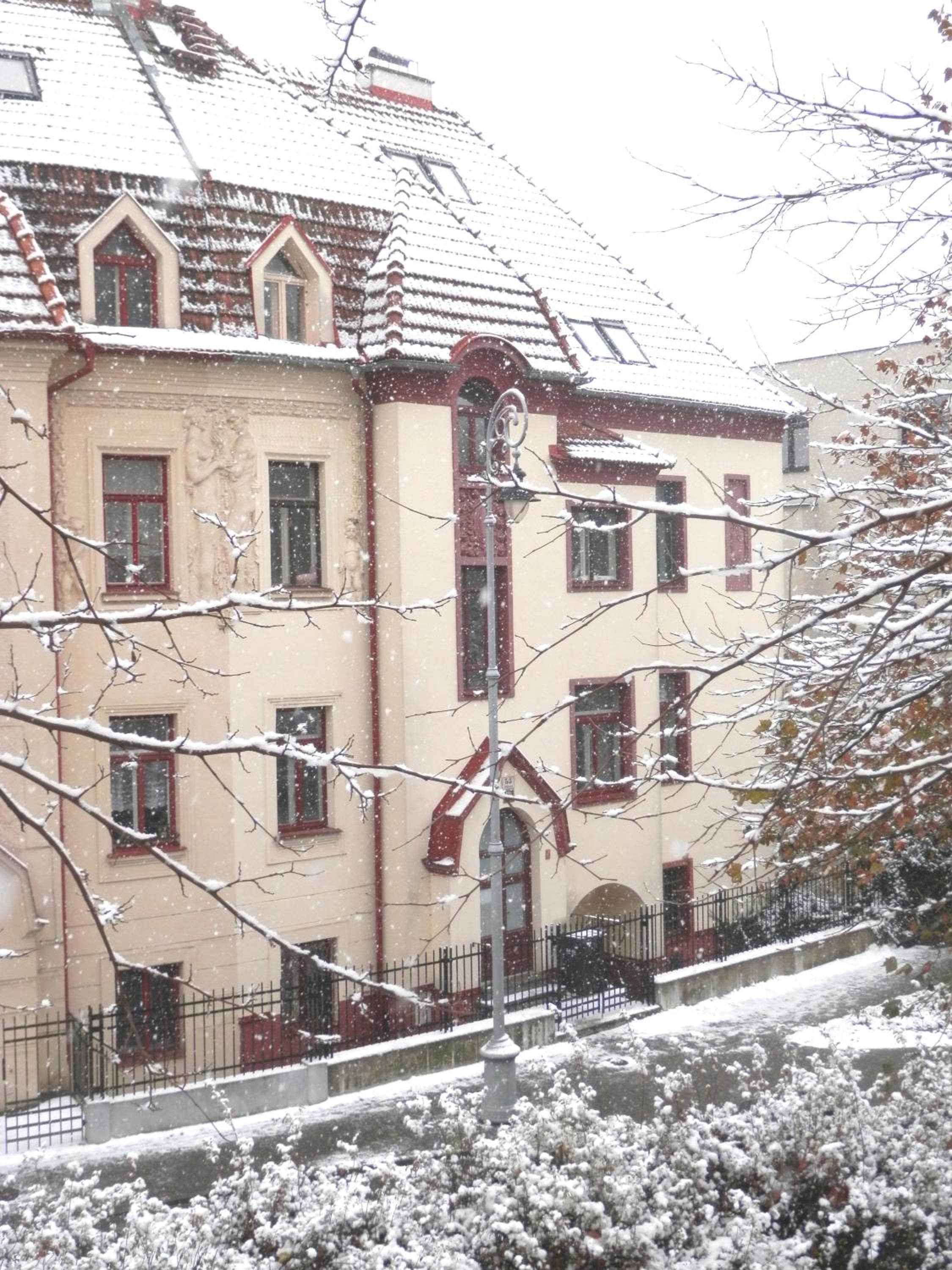 Spacious Apartment Below Spilberk Castle