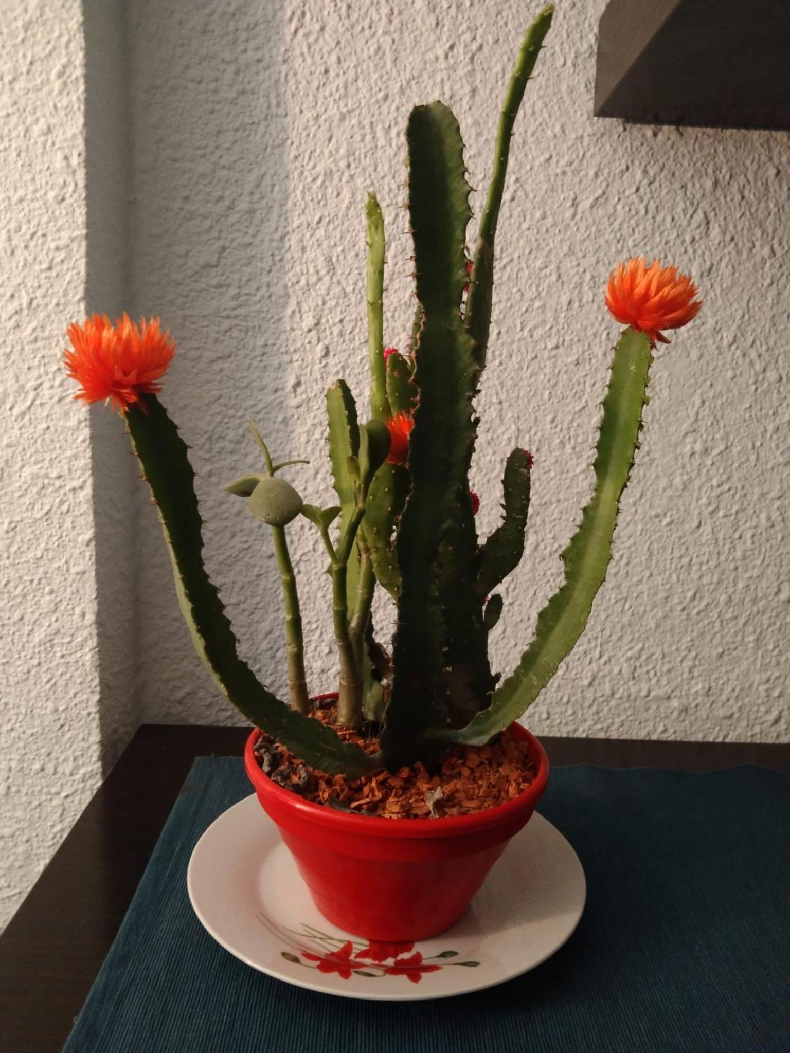 Apartamento Etxe Morea, Casco Histórico