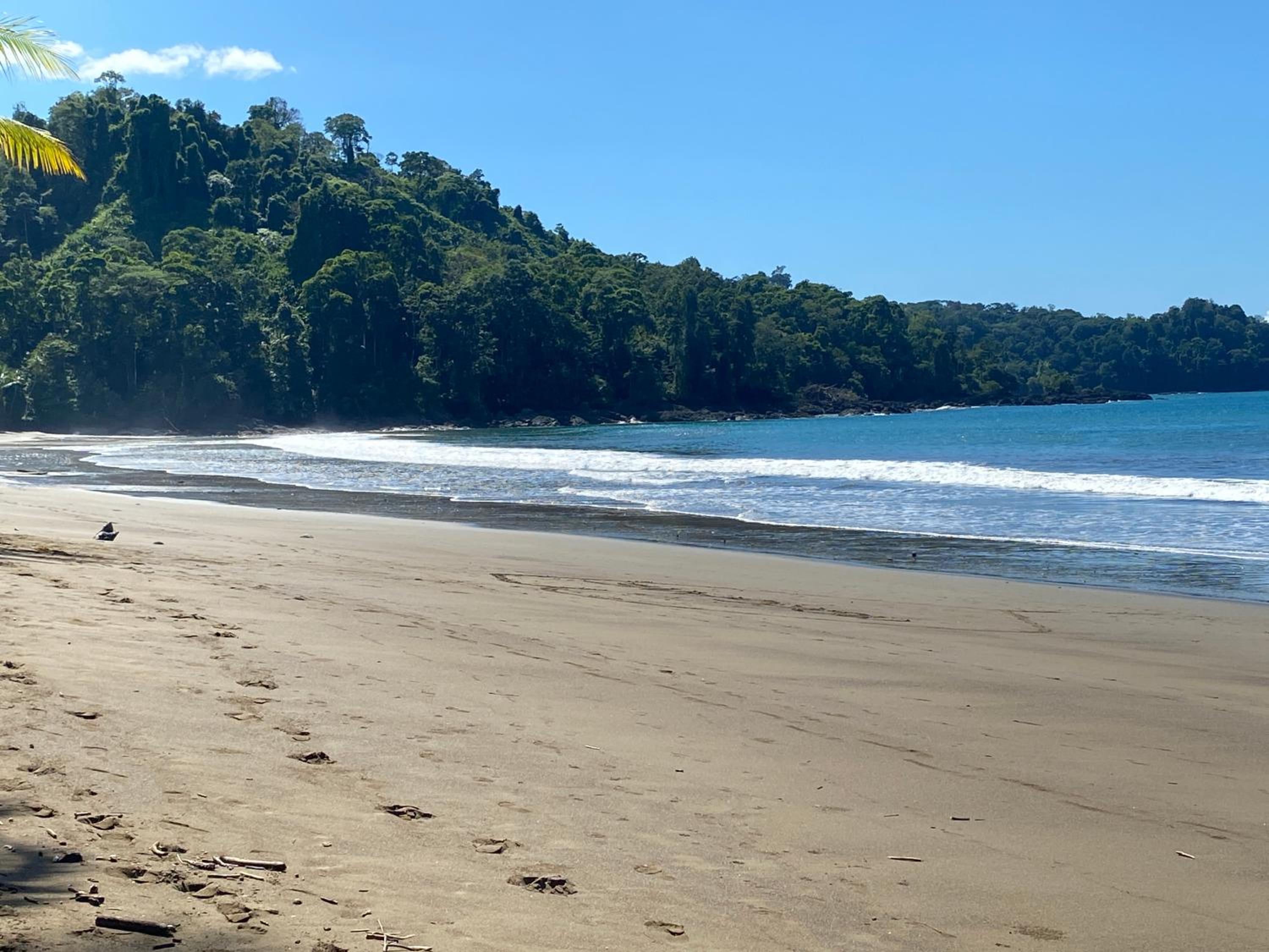 Drake Bay River View view 4