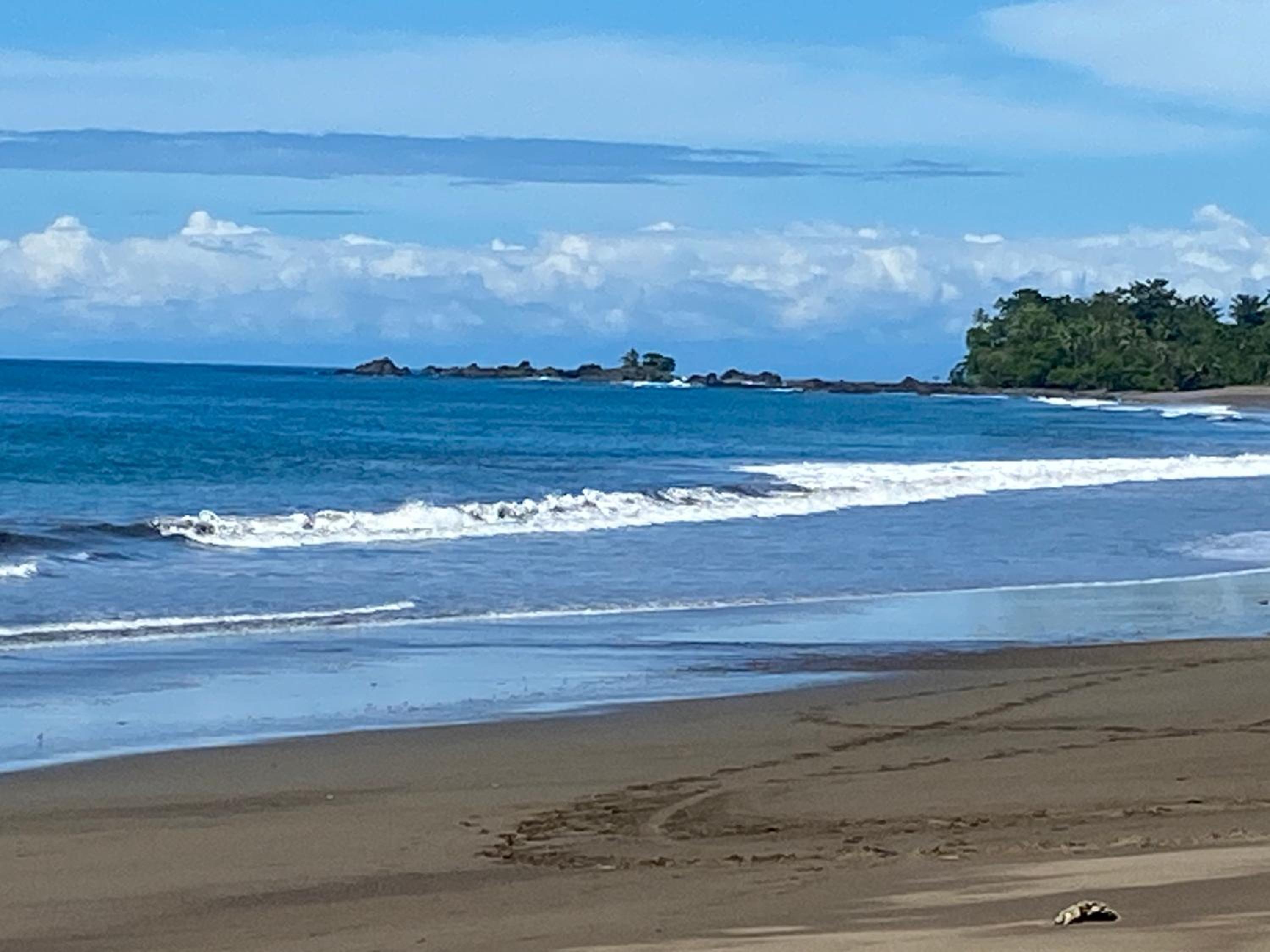 Drake Bay River View view 2