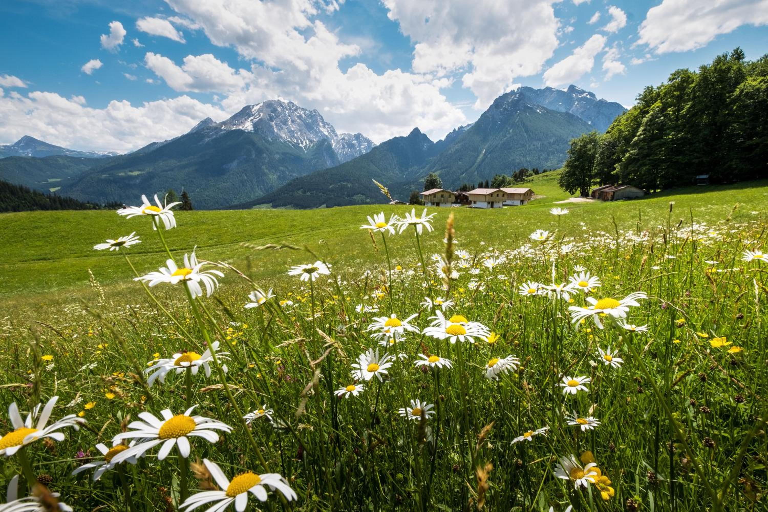 Alpenpension Ettlerlehen