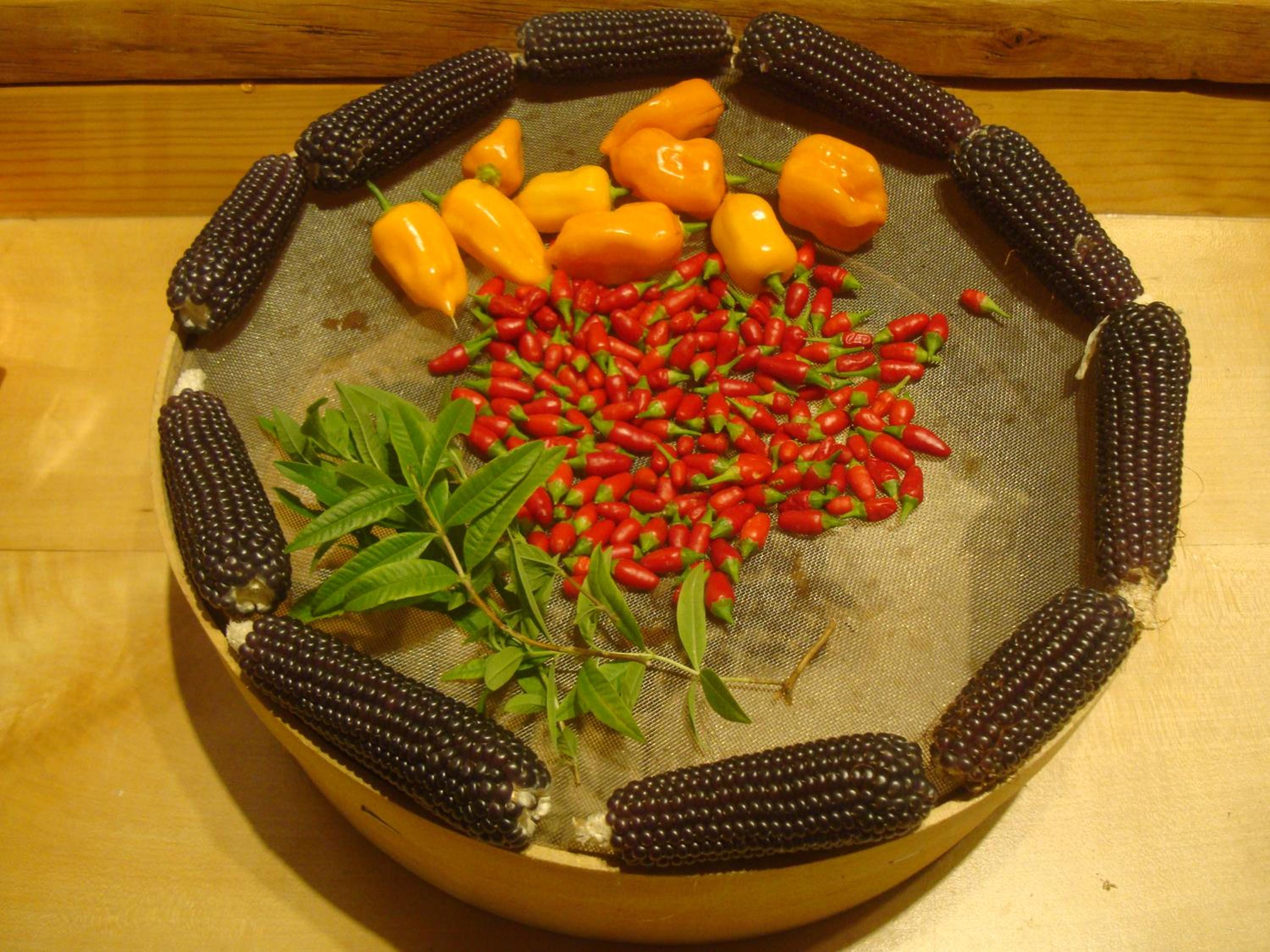 Photo 44